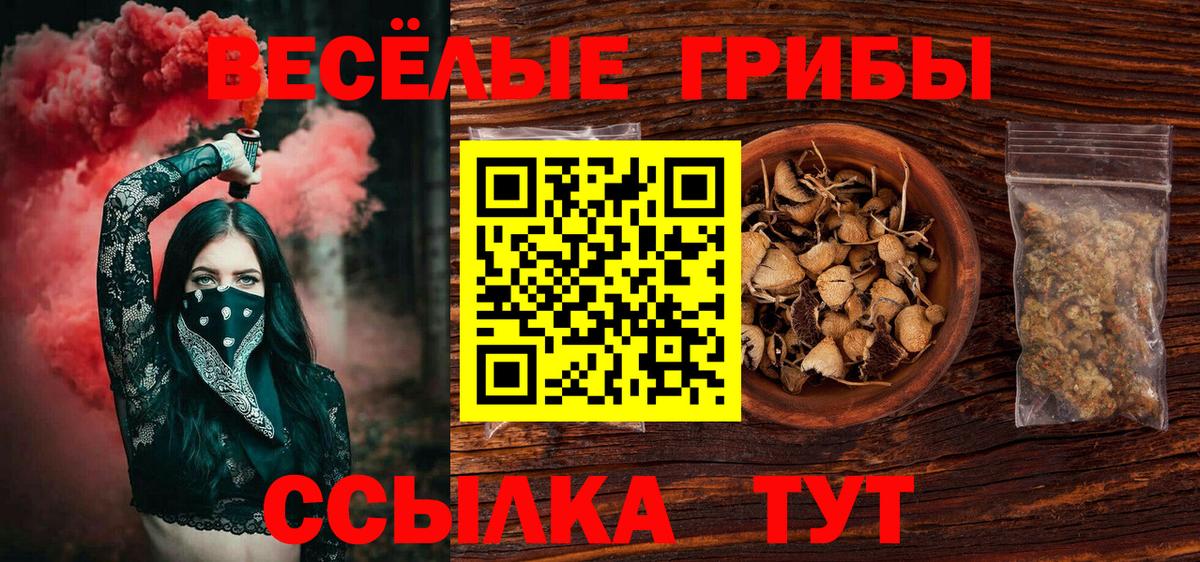 Галлюциногенные грибы Cubensis Нягань